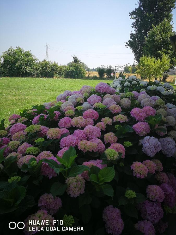 Holiday home Corte Ventaglio Campitello (Mantova)